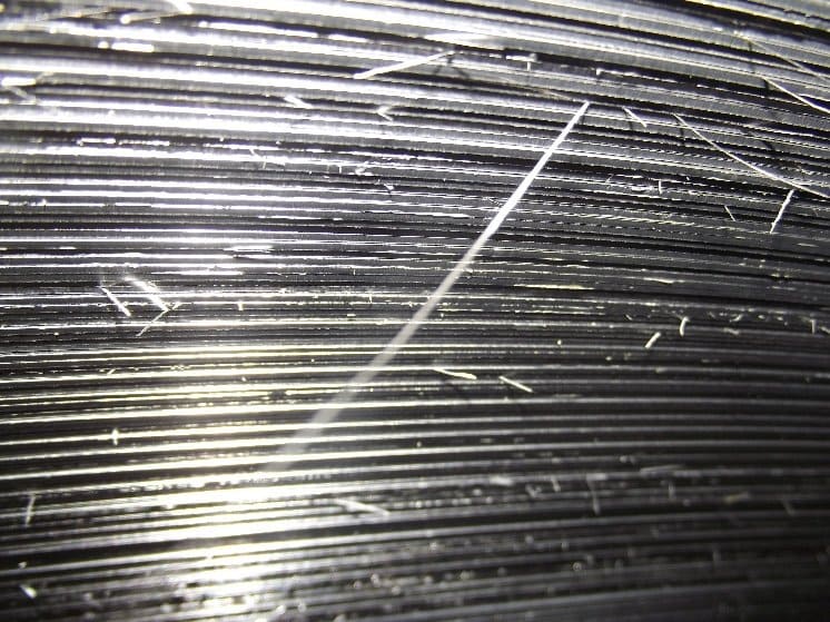 Coil wall showing fragments of shelf material remaining attached to the strip edge