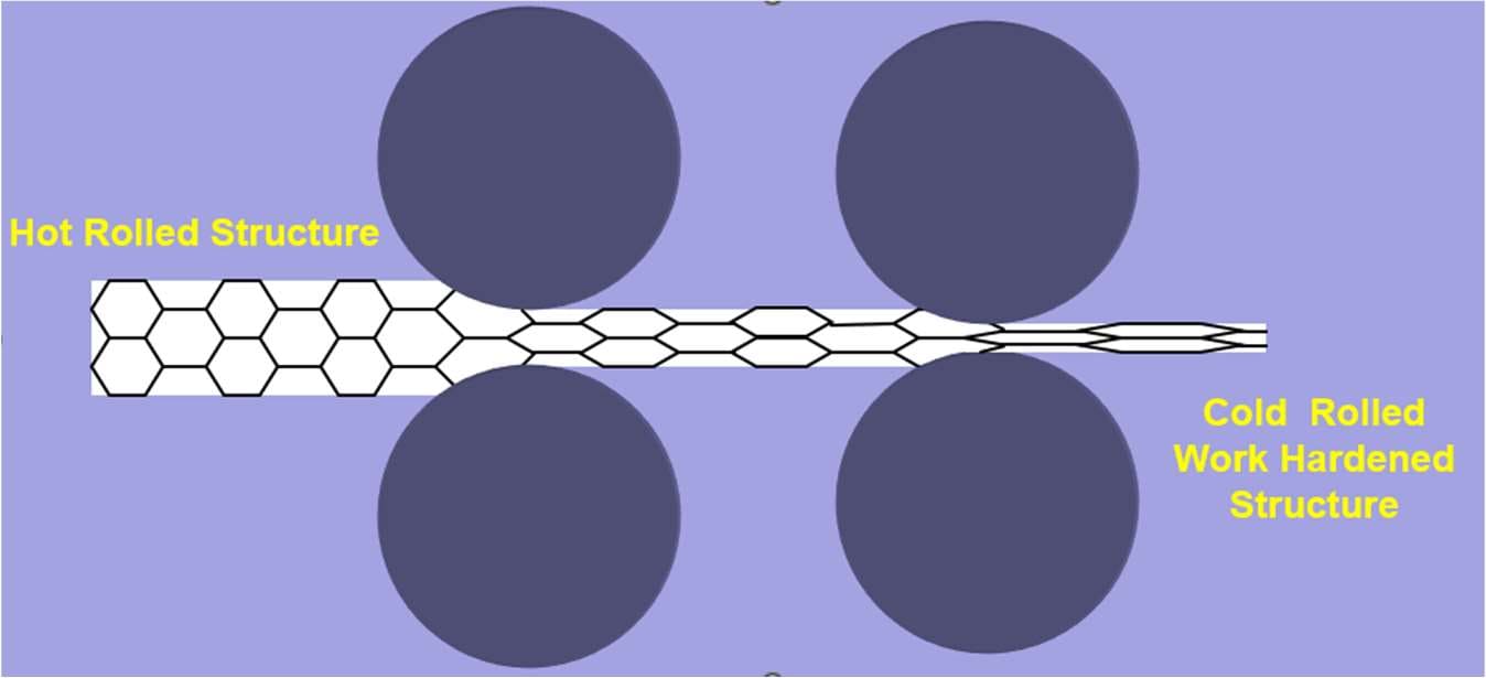 Diagram showing equiaxed hot rolled grains being elongated into a work hardened cold rolled structure through the roll bite